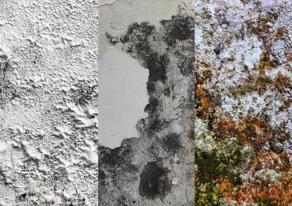 Humidity causes structural damage to buildings