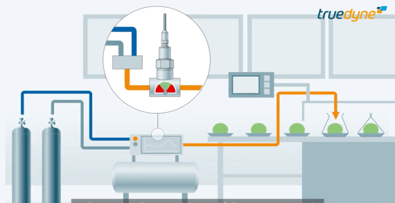 Monitoring gas mixtures for food packages
